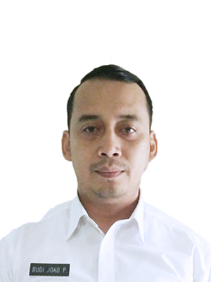 Budi Joko